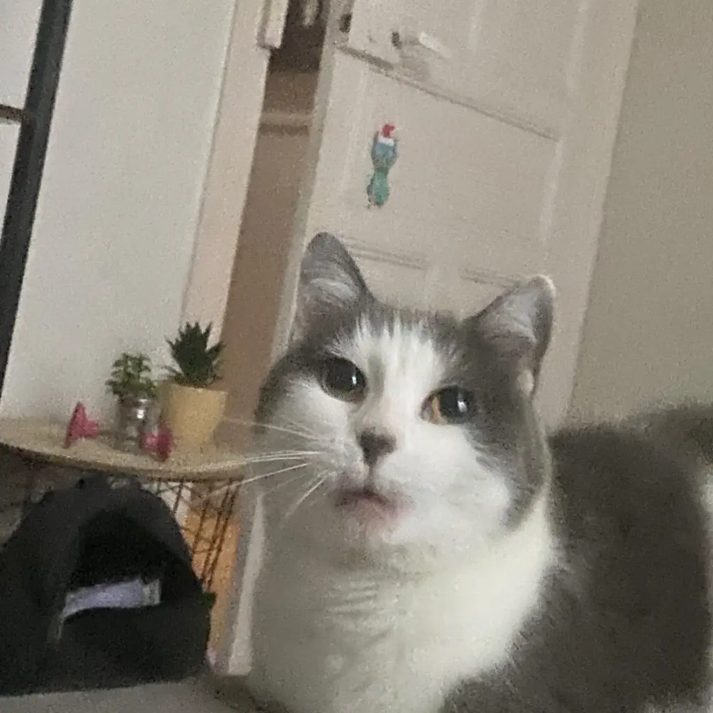 Lilou